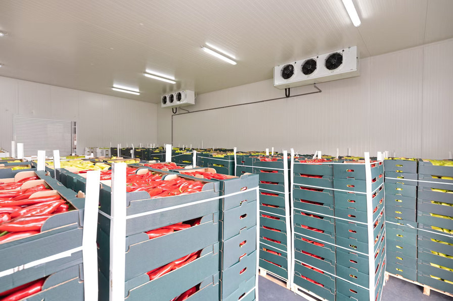 walk-in-freezers-in-the-philippines