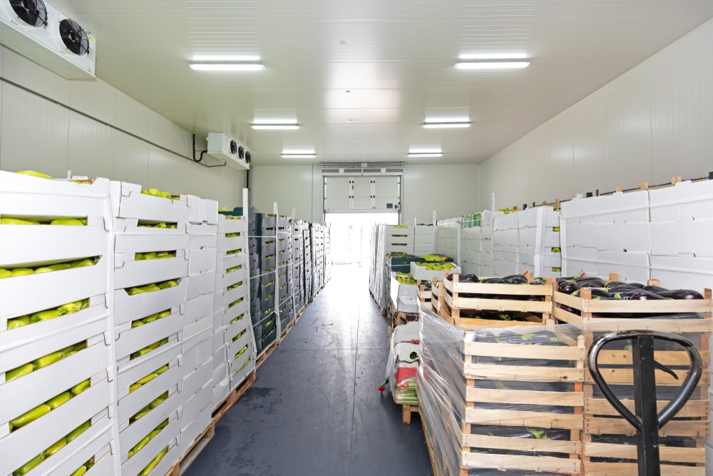 walk-in-freezers-in-the-philippines