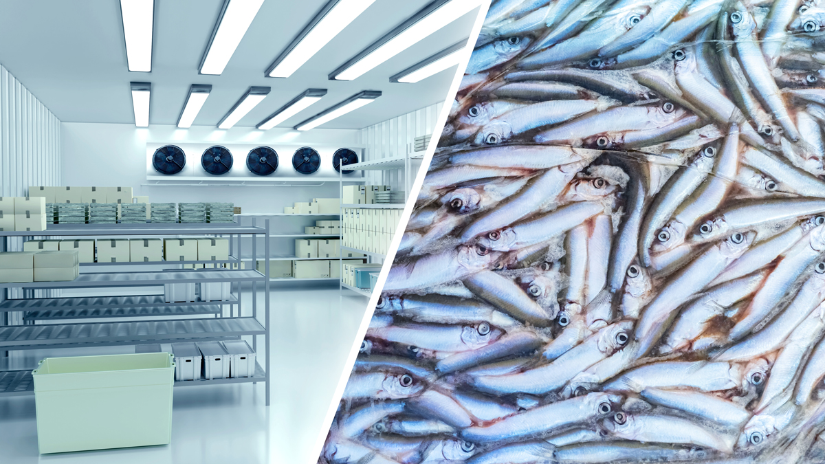 walk-in-freezers-in-the-philippines