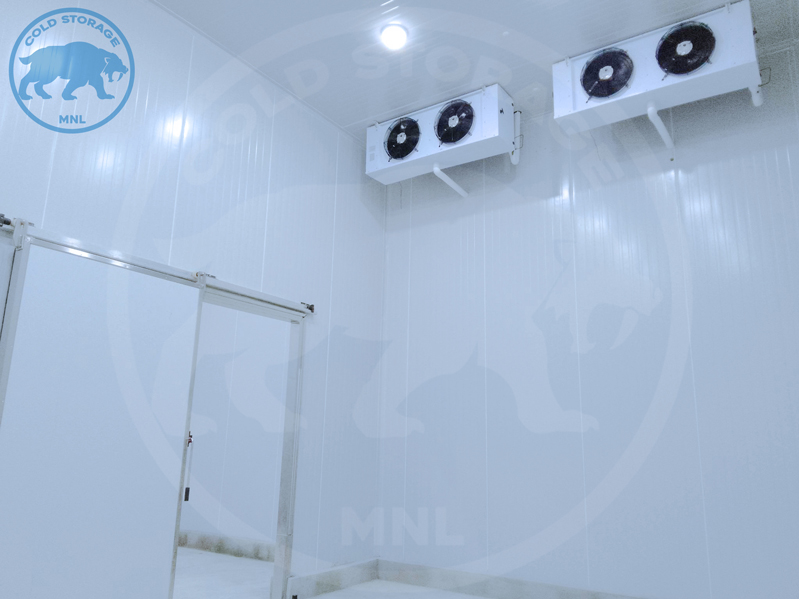 walk-in-freezers-in-the-philippines